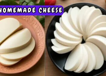 Delicious Homemade Cheese