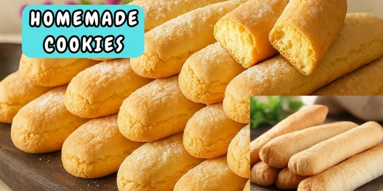 Fresh and Tasty Cookies