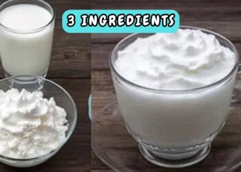 Homemade Whipped Cream with 3 Ingredients