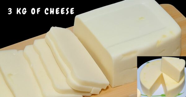 3kg of Homemade cheese