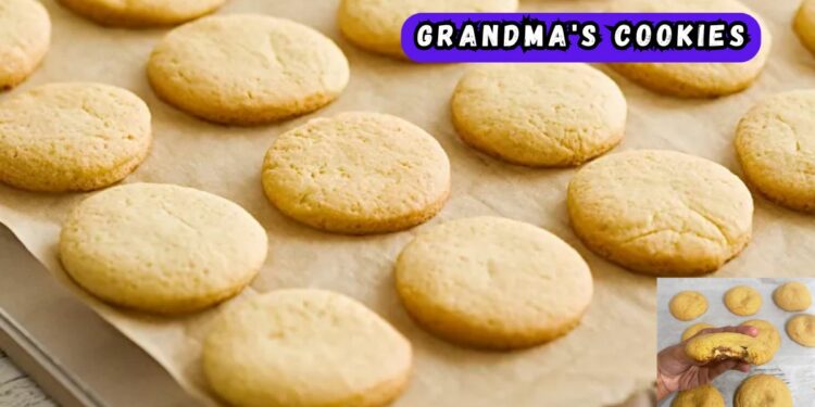 Grandma's homemade cookie